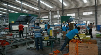 中国驻坦桑大使王克女士视察坦桑特福陶瓷厂 深化中坦产能合作新篇章